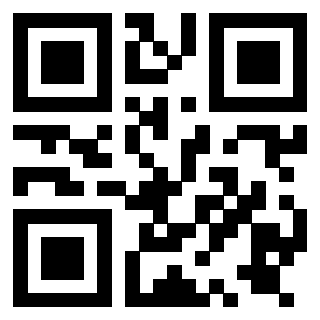 Il Qr Code di 3919729199