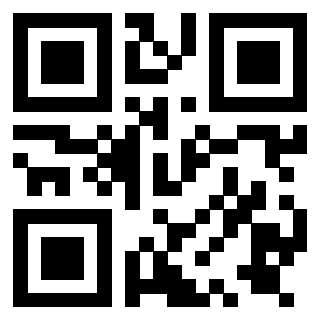 3919729200 QrCode associato