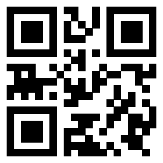 Il Qr Code di 3919729203