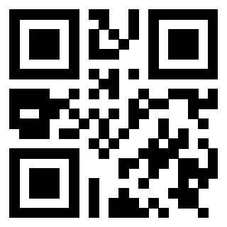 Il Qr Code di 3919729205
