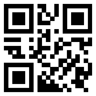 Il Qr Code di 3919729209