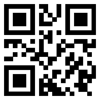 QrCode di 3919729213