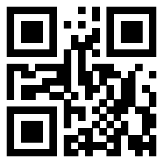 3919729240 QrCode associato