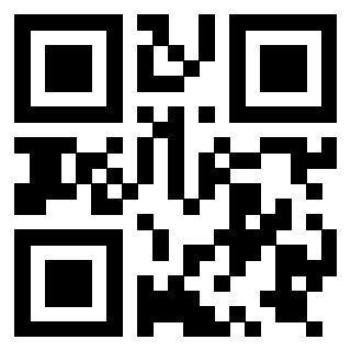 Il Qr Code di 3919729255