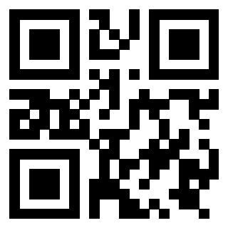 Il Qr Code di 3919729285