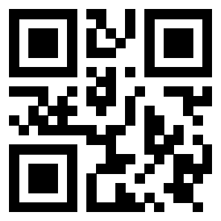 QrCode di 3919729306