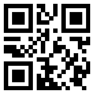 Il Qr Code di 3919729312