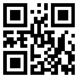 Il Qr Code di 3919729355
