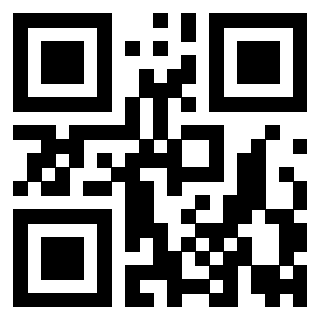 Il Qr Code di 3919729545