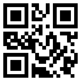 Il Qr Code di 3919729569
