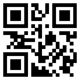Il QrCode di 3919729571