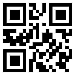 Il QrCode di 3919729581