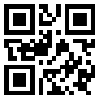 Il Qr Code di 3919729595