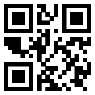 QrCode di 3919729602