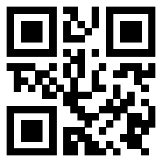 Il Qr Code di 3919729624