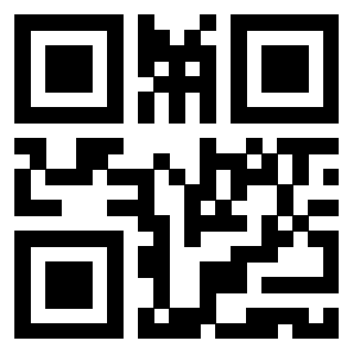 QrCode di 3919729671