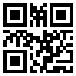 Il Qr Code di 3919729697