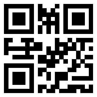 Il Qr Code di 3919729698