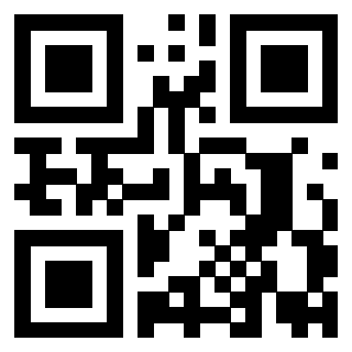 Il Qr Code di 3919729718