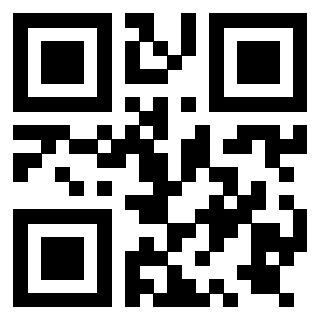 Il Qr Code di 3919729735