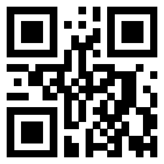 QrCode di 3919729807
