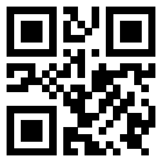Il Qr Code di 3919729818