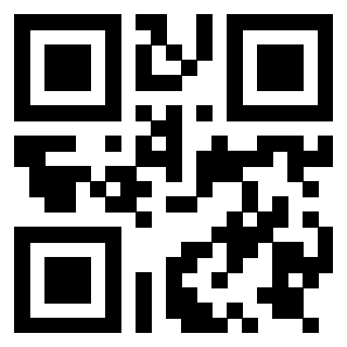 Il Qr Code di 3919729825