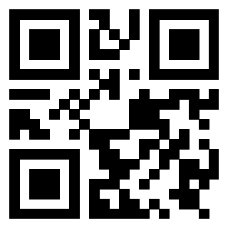 Il Qr Code di 3919729848