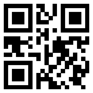 Il Qr Code di 3919729858