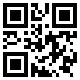 Il Qr Code di 3919729875