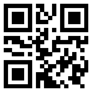 Il Qr Code di 3919729885