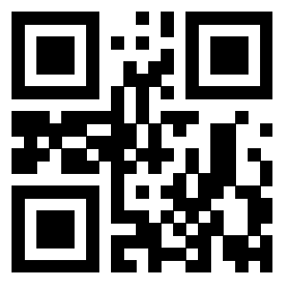 3919729917 QrCode associato
