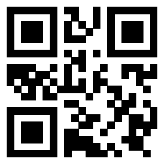 Il Qr Code di 3919729992