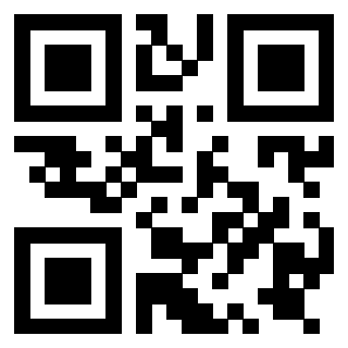 3919729999 Qr Code associato