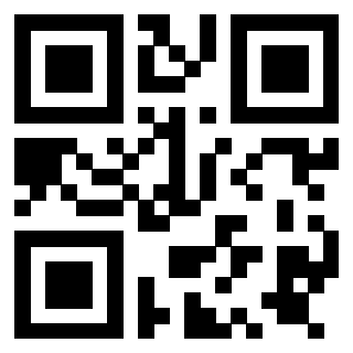 Il Qr Code di 3919730029
