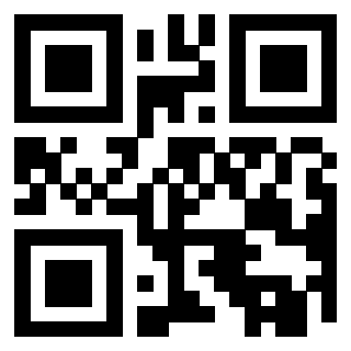 Il Qr Code di 3919730037