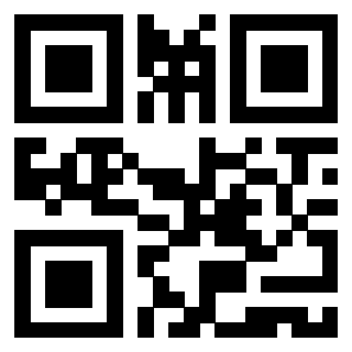 Il Qr Code di 3919730046