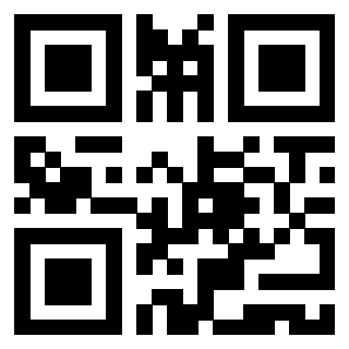 Il Qr Code di 3919730063