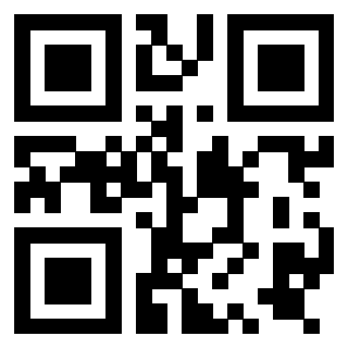 Il Qr Code di 3919730104