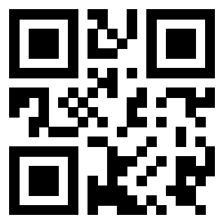 Il Qr Code di 3919730130