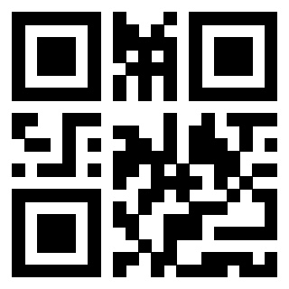 Il Qr Code di 3919757413