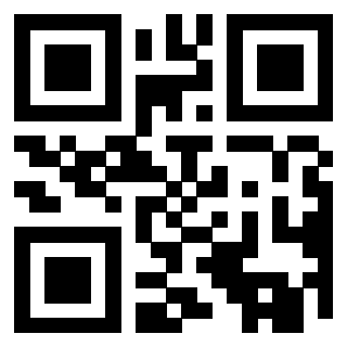 Il Qr Code di 3919757419