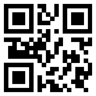 Il Qr Code di 3919757433