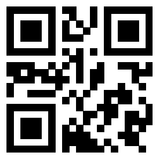 Il Qr Code di 3919757475
