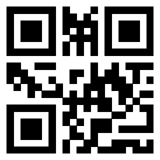 Il Qr Code di 3919757476
