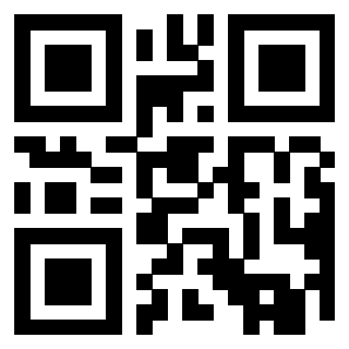 Il Qr Code di 3919757512
