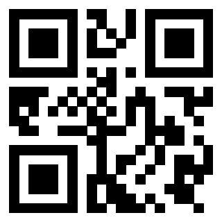 Il Qr Code di 3919757560