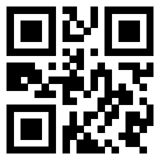 QrCode di 3919757569