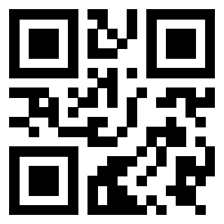 Il Qr Code di 3919757650