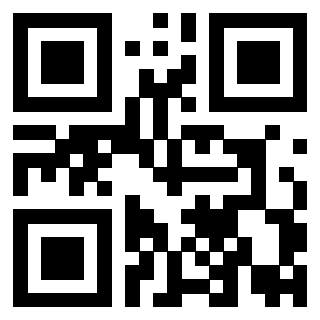Il Qr Code di 3919757673